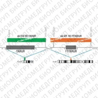 ДЛЯ КЛИЕНТОВ из США. SureFISH 8q21.3 RUNX1T1 DF 734 КБ P20 RD. RUNX1T1, Dual Fusion, 20 тестов, Cy3, концентрат, ручное использование