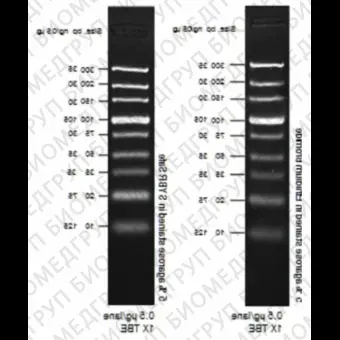 Маркер длин ДНК, Ultra Low Range, 9 фрагментов от 10 п.н. до 300 п.н., 0,5 мкг/мкл, Thermo FS, 10597012, 50 мкг