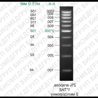 ДНКмаркер 1000/10R, 10 фрагментов от 100 до 1000 п.н. 500 2х готовыи к применению, 0,1 мг/мл, Диаэм, 1911.0250, 50 мкг