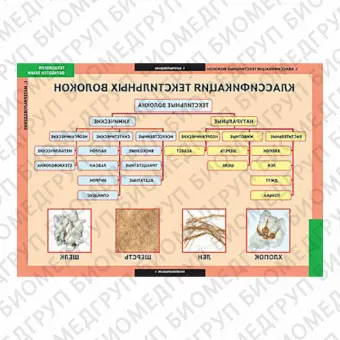 Таблицы демонстрационные Технология обработки ткани. Материаловедение