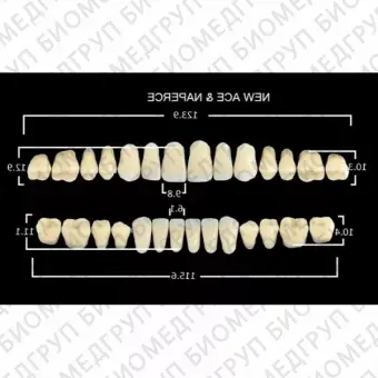 Гарнитуры пластмассовых зубов S2 M30, цвет B2, в боксе, 20 гарнитур