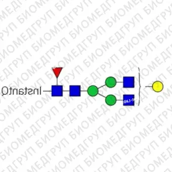 Стандарт Nгликанов AdvanceBio InstantQ G1F/FA2G1 ранее ProZyme. Nгликан асиало, моногалактозилированный двухантенный комплекс Nгликан, ядро которого замещено фукозой, меченный InstantQ для использования в качестве качественного стандарта с системо