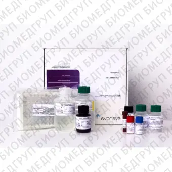 Набор реагентов SVANOVIR BVDVAb Screen для обнаружения антител к вирусной диарее КРС методом ИФА стрипованные планшеты10 планшетов