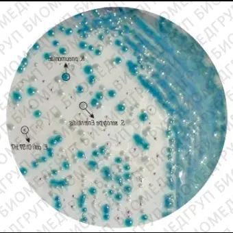 Агар HiCrome для выделения и дифференциации E.coli O157:H7 500 г ФСЗ 2009/03705