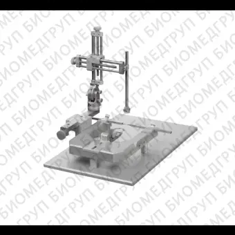 Стереотаксическая система для крыс с одним манипулятором и фиксатором 45, SGL M, 45 Deg., RWD, Китай, 68005