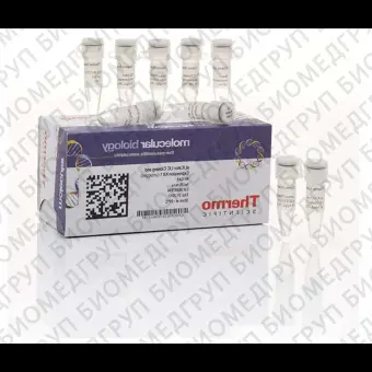 Набор для безлигазного клонирования aLICator LIC Cloning and Expression Kit 1, Thermo FS, K1241, 20 реакций