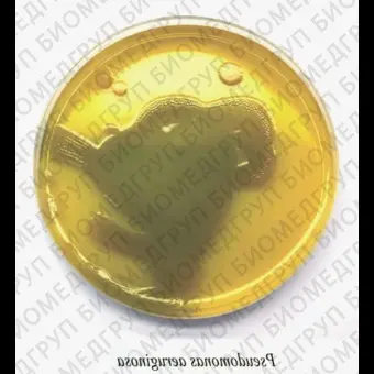 Агар питательный для культивирования микроорганизмов ГРМагар 0,25 кг