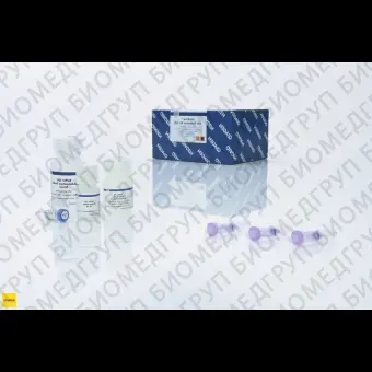 Набор для выделения ДНК из гелей в мин. объёме MinElute Gel Extraction Kit, Qiagen, 28606, 250 выделений