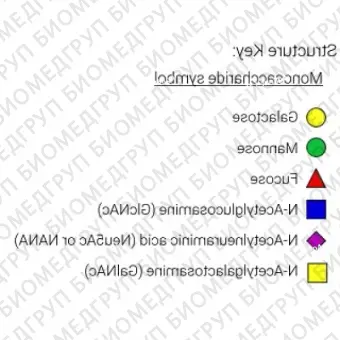 Nгликан AdvanceBio InstantQ Man6/M6 олигоманноза 6 ранее ProZyme. Nгликан, помеченный InstantQ, для использования в качестве качественного стандарта с системой анализа гликанов GlyQ