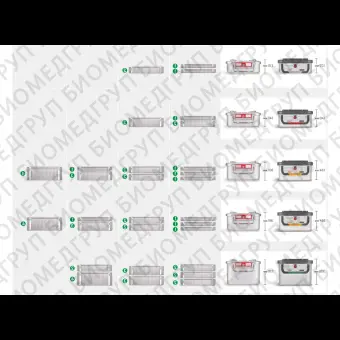 Контейнер для стерилизации marSafe 1/2, оранжевая рамка, 303014 см KLS Martin