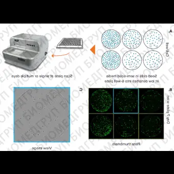 Система многопараметрического анализа клеток CloneSelect Imager, Molecular Devices, CloneSelectImager