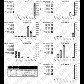 Набор для конъюгации антител PE / RPhycoerythrin Conjugation Kit, LightningLink, Abcam, ab10291860, 60 мкг