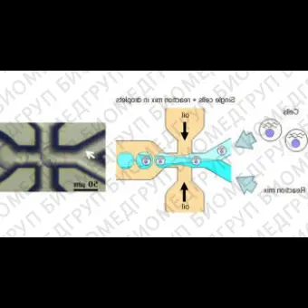 Система инкапсуляции клеток Encapsulator, Dolomite Microfluidics, 3200558