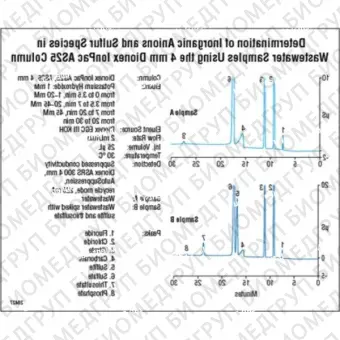 Dionex IonPac AS25 Capillary, Analytical  Guard Columns