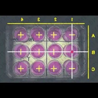 Biostation CT Инкубационная система с сенсорной панелью