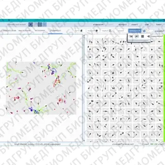 Спермоанализатор на базе ПО для компьютерного анализа эякулята, АргусCASA, АргусСофт, ARGUS  CASA 4