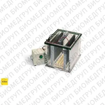 Электрофорезная вертикальная камера Protean Plus Dodeca cell, 20х20,5 или 25х20,5 см, 112 гелей, BioRad, 1654151