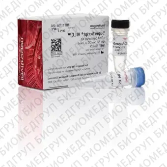 Набор SuperScript VILO cDNA Synthesis Kit, Thermo FS, 11754250, 250 реакций