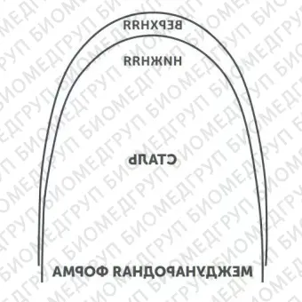 Дуги ортодонтические международная форма Нержавеющая сталь для нижней челюсти SS L .016x.022/.41x.56