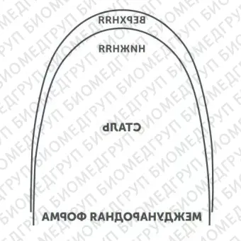 Дуги ортодонтические международная форма нижние INT NiTi TA L .017x/.025/.43x.64 OrthoClassic