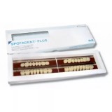 Spofadent Plus (С1) 62-0/11-1/62