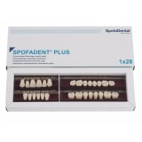 Spofadent Plus (С1) 1/22-0/0-1/72