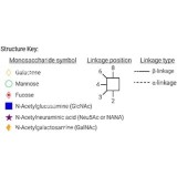 Стандарт N-гликанов AdvanceBio 2-AA Man6/M6 (ранее ProZyme)