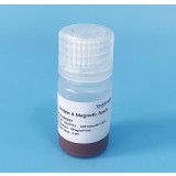 Реактив на магнитных шариках EmerTher® Protein A